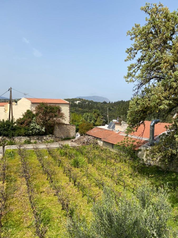 Retreat Homes Apokoronas Douliana 外观 照片